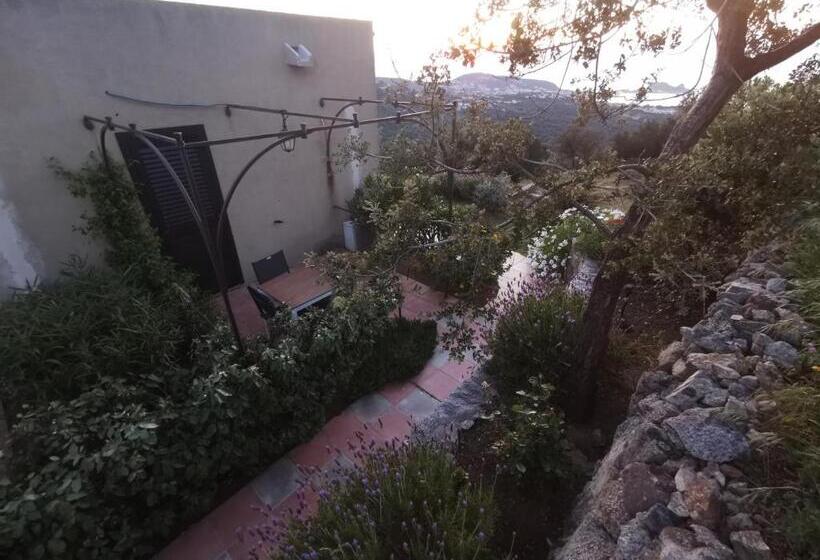 צימר Tre Castelli