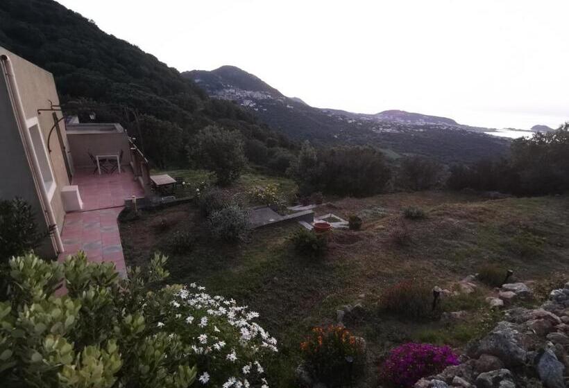 צימר Tre Castelli