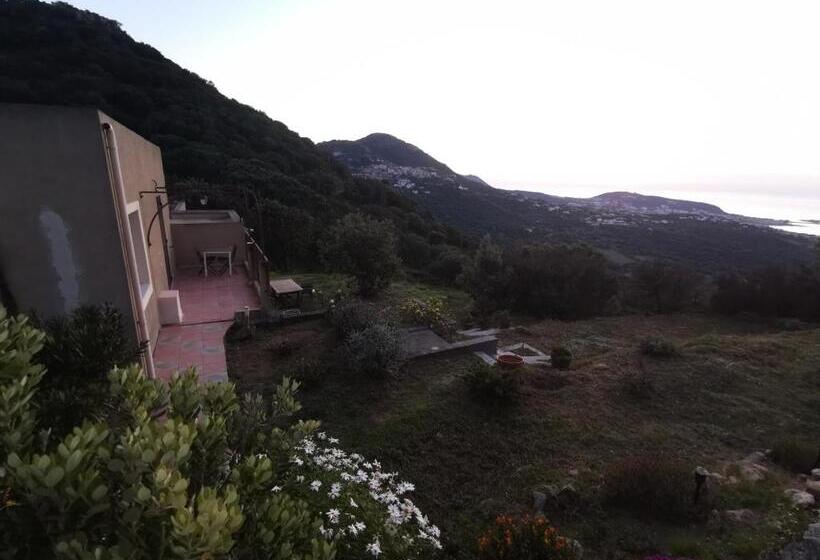 צימר Tre Castelli