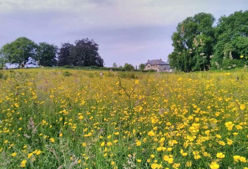 פנסיון Castletownmoor Clinic & Permaculture Farm