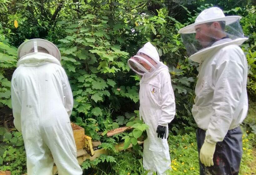 פנסיון Castletownmoor Clinic & Permaculture Farm