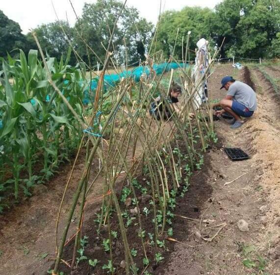 פנסיון Castletownmoor Clinic & Permaculture Farm