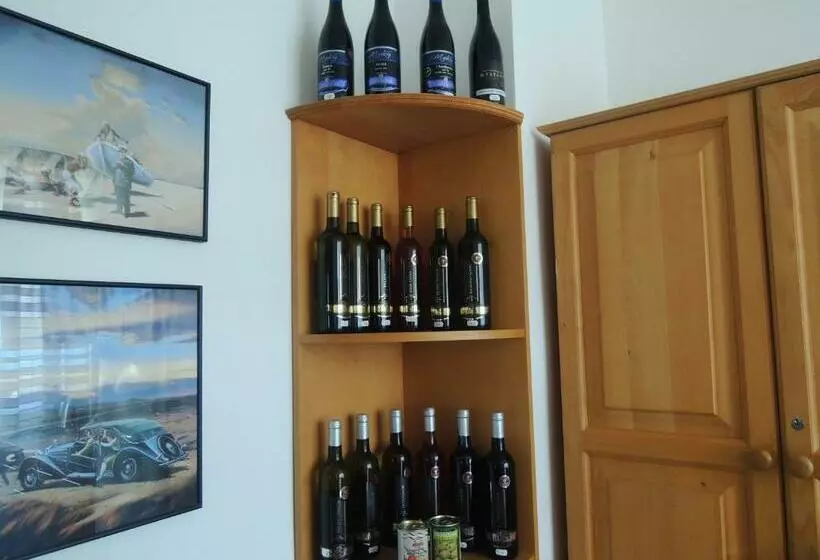 پانسیون Penzion Na Smetance