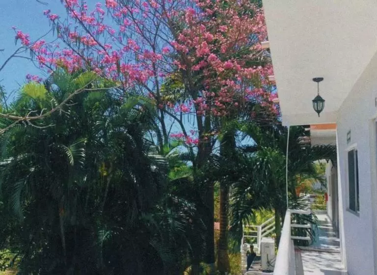 ユースホステル Posada Las Brisas