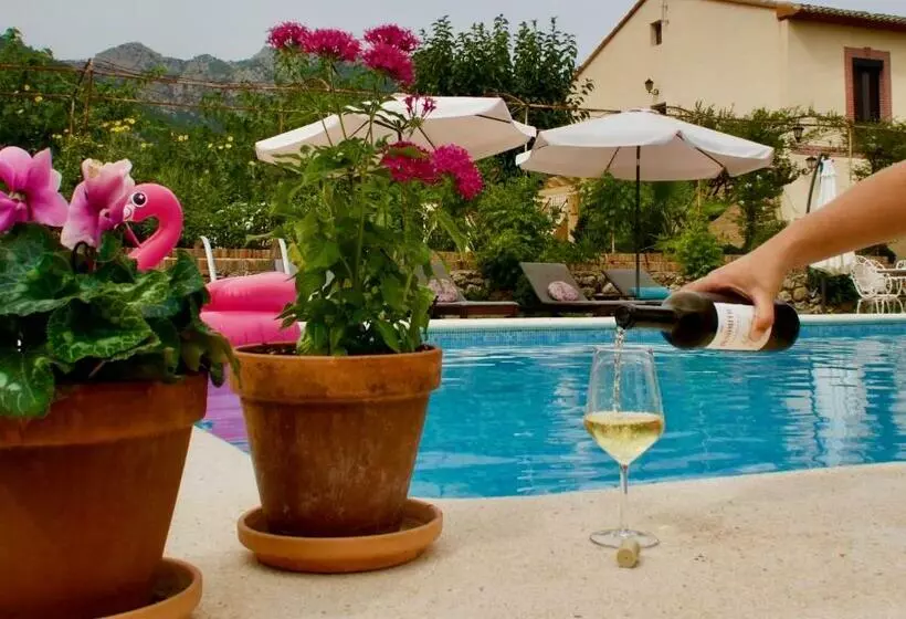 ベッドアンドブレックファースト Casa De Los Lirios