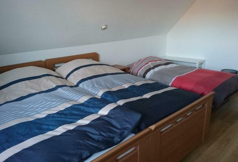 مبيت وإفطار Droomzzz