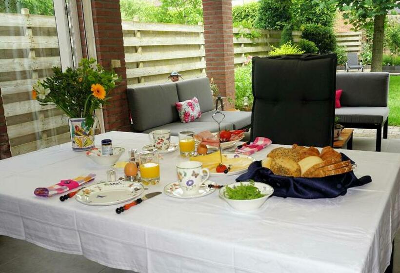 مبيت وإفطار Droomzzz