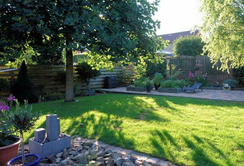 مبيت وإفطار Droomzzz