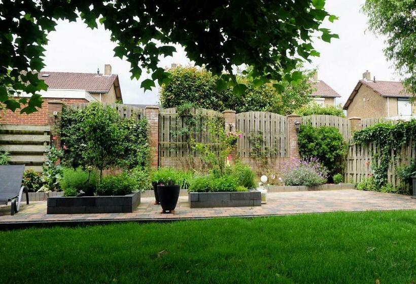 مبيت وإفطار Droomzzz