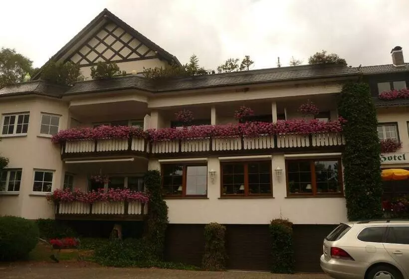 Hotelli Woiler Hof Garni