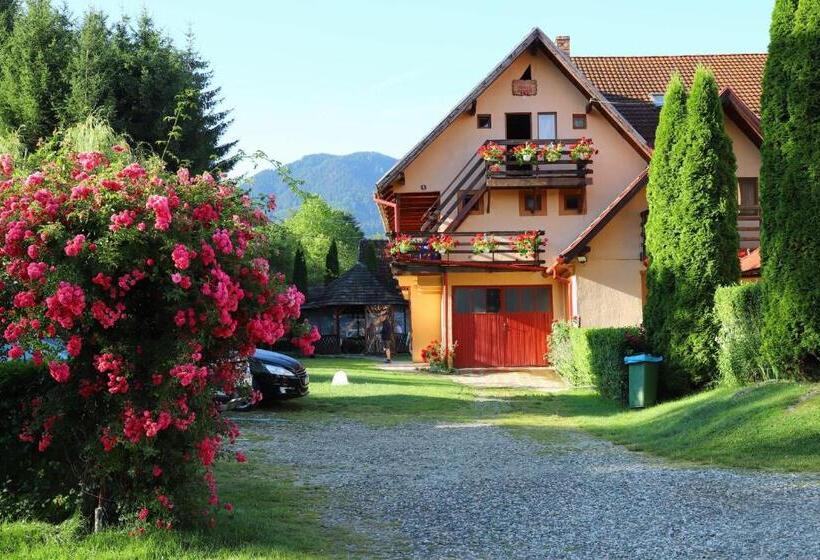 Pensiunea Dealul Frumos