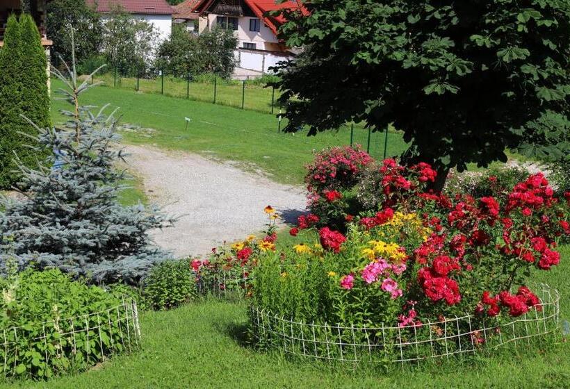 Pensiunea Dealul Frumos