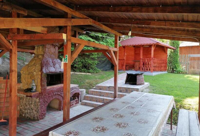 Pensiunea Dealul Frumos