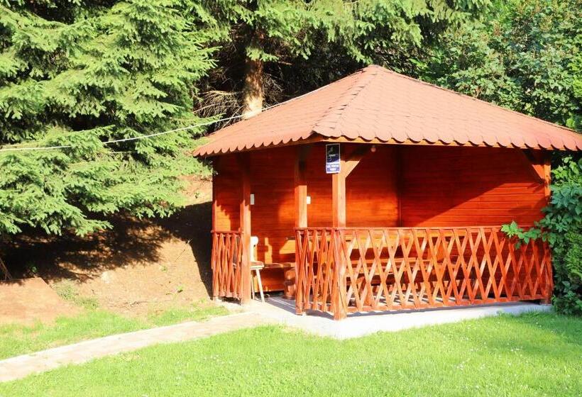 Pensiunea Dealul Frumos