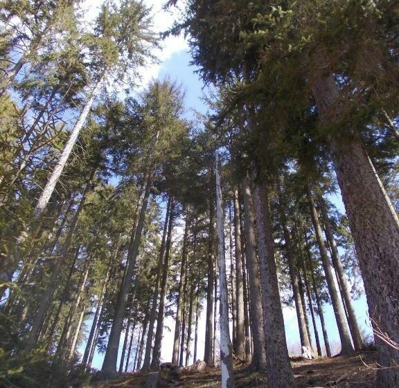 B&b Den Lange Heiman