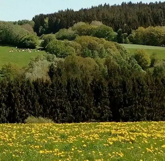 B&b Den Lange Heiman