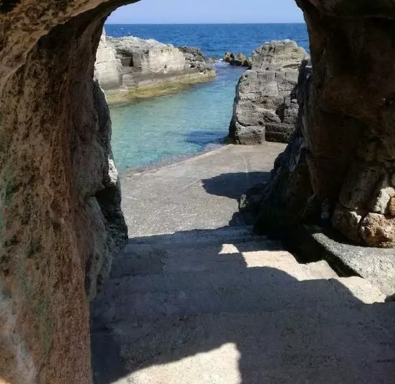 Aamiaismajoitus (B&B) Lucapannune