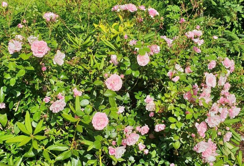 Cherville Bed & Breakfast