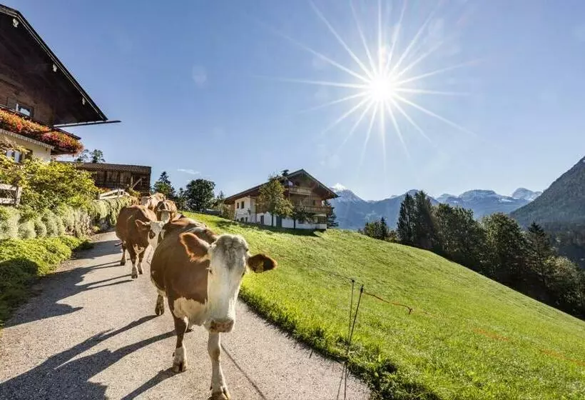 Hotelli Bergbauernhof Schoberlehen