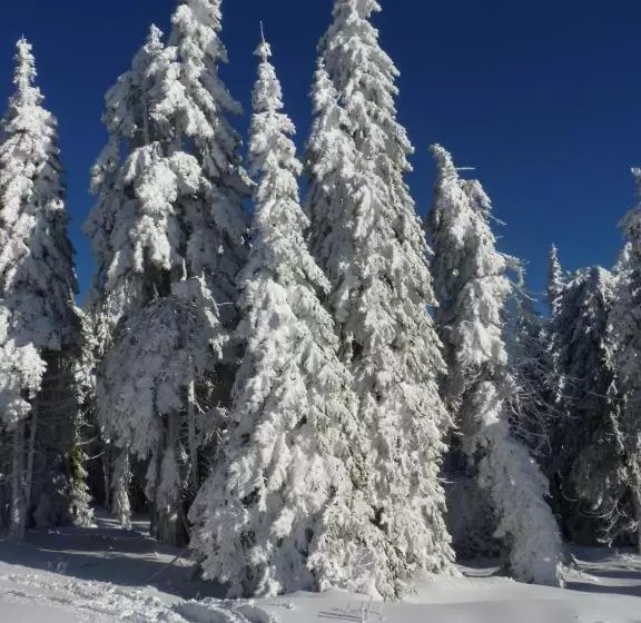 Skiresort Pec Poustevnik