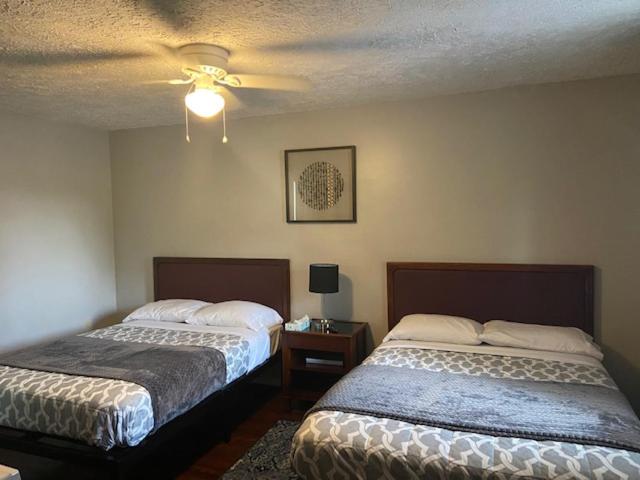 הוסטל Nightshade Inn & Gardens