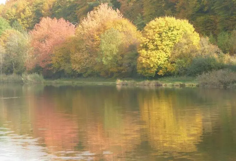 ベッドアンドブレックファースト Chez Anny Et Jean Au Mittelbuehl