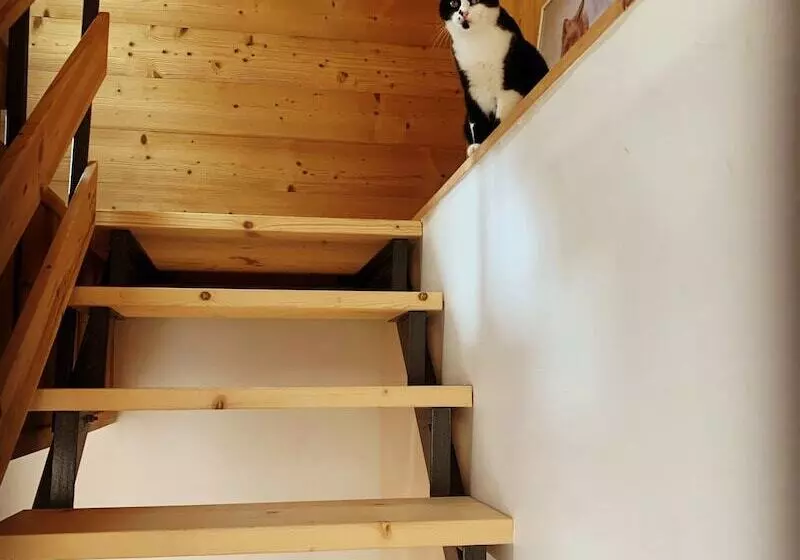 Aamiaismajoitus (B&B) La Villa D Hélène 2   Chambres D Hôtes Bnb Et Appartements   Cluses