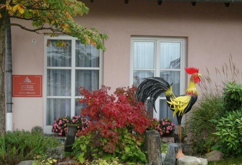 Bed and Breakfast Le Coq Nientiedt