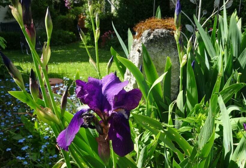 Bed and Breakfast Le Coq Nientiedt