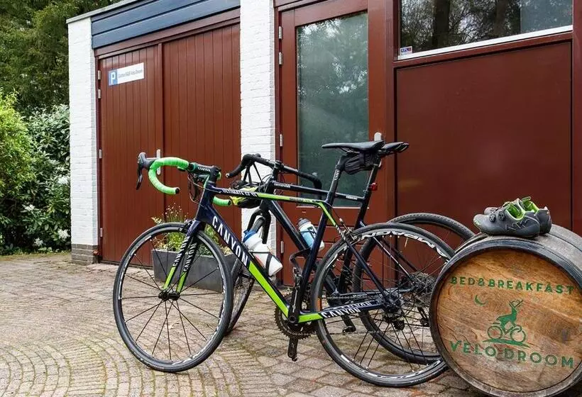 تختخواب و صبحانه Velo Droom