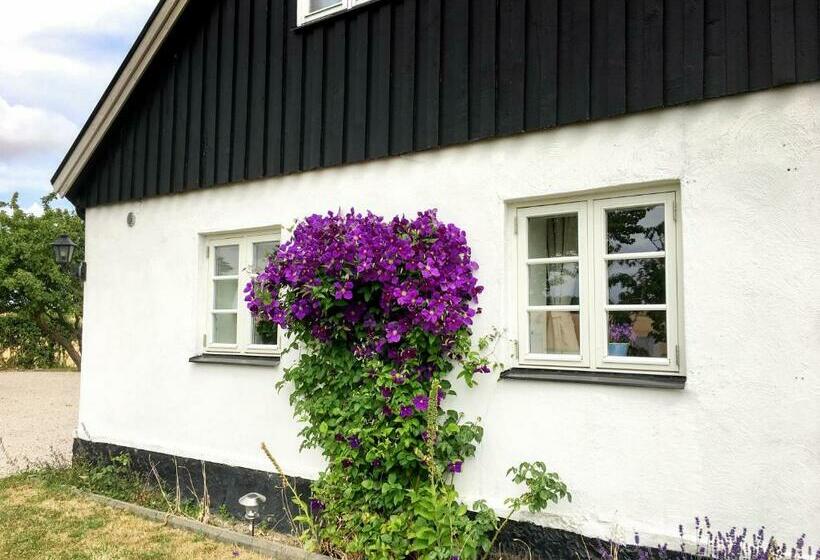 Glemminge Bed And Breakfast