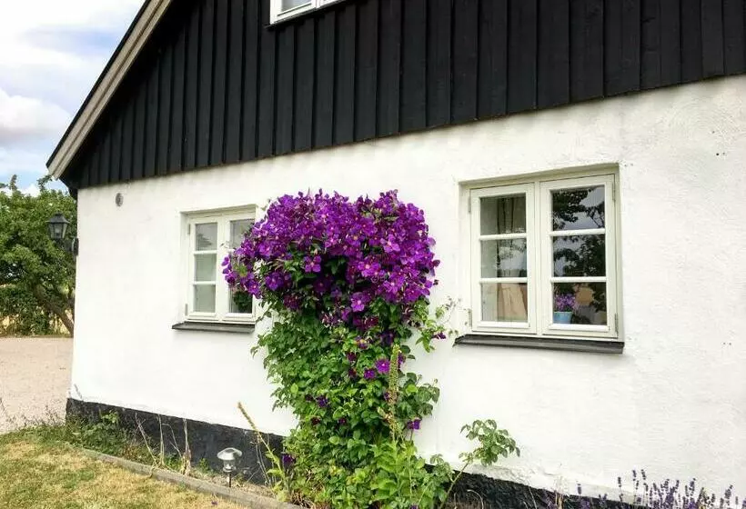 Glemminge Bed And Breakfast