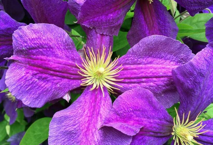 Glemminge Bed And Breakfast