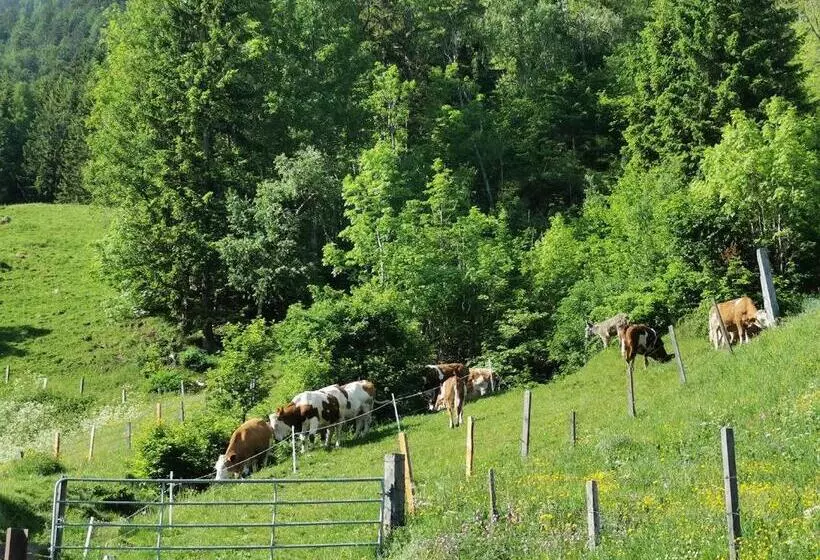 ホテル Bauernhof Bethuber