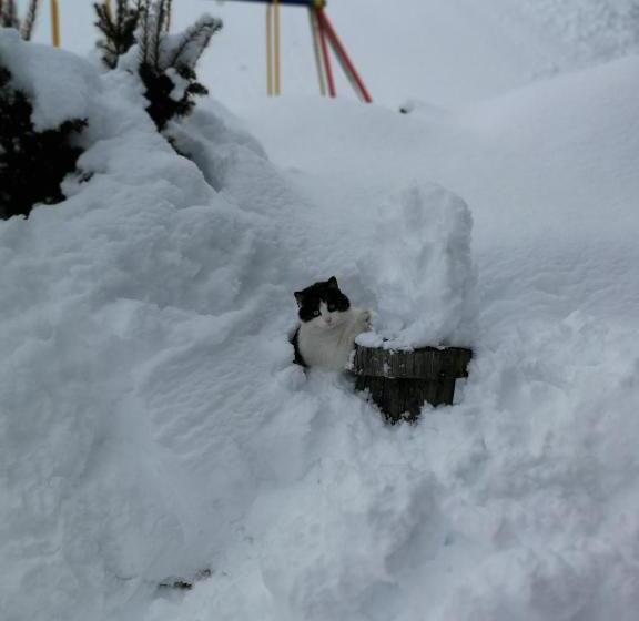 Отель Bauernhof Bethuber