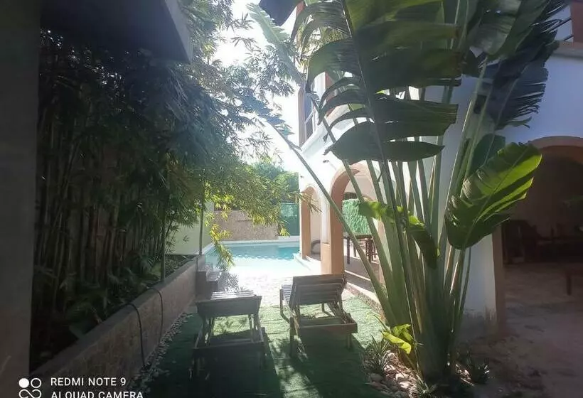 Palmas De Chahue