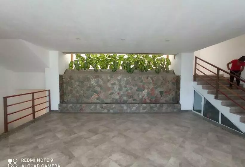 Palmas De Chahue