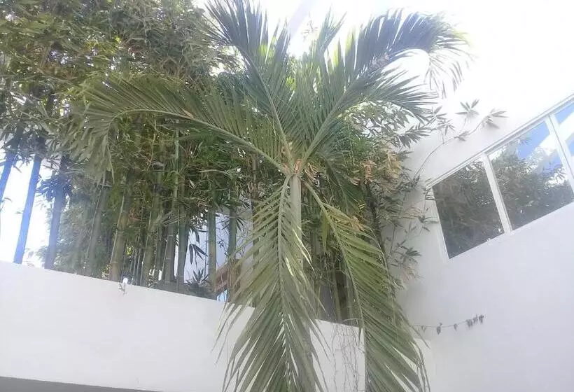 Palmas De Chahue