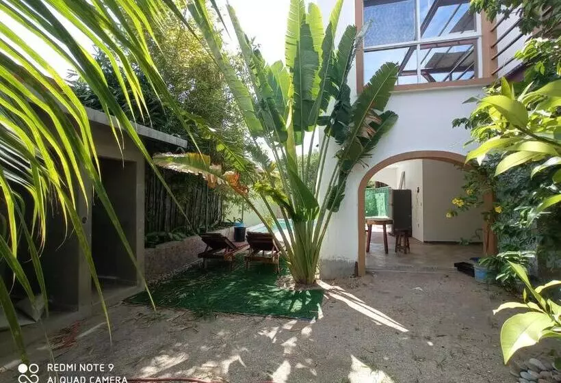 Palmas De Chahue