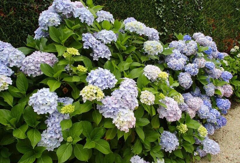 Majatalo Chambre D Hôtes Broualeuc