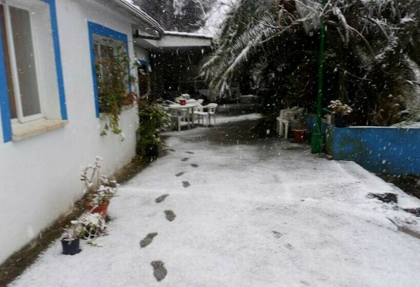 ペンション Hostal El Venero