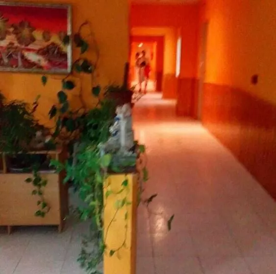ペンション Hostal El Venero