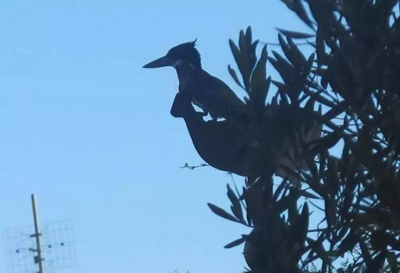 Majatalo Rhus Cottage