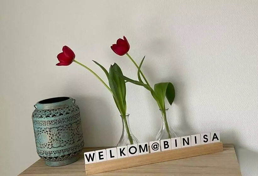 B&b Binisa