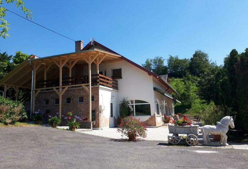 住宿加早餐 Borkúti Panzió és Apartman