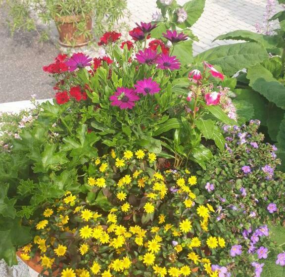 住宿加早餐 Borkúti Panzió és Apartman