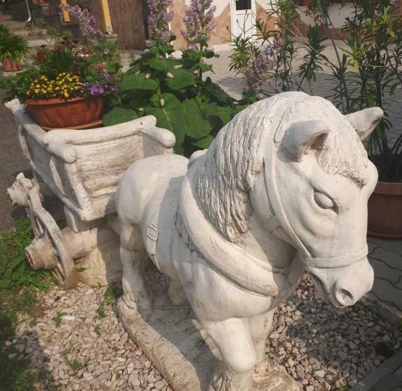 住宿加早餐 Borkúti Panzió és Apartman