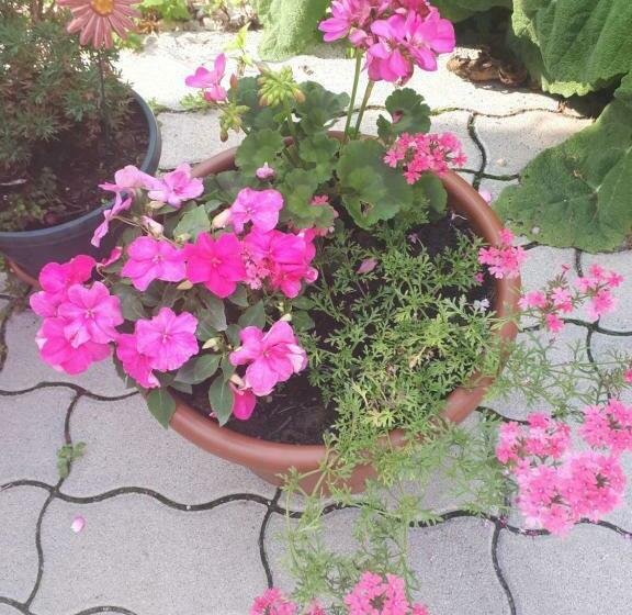 住宿加早餐 Borkúti Panzió és Apartman