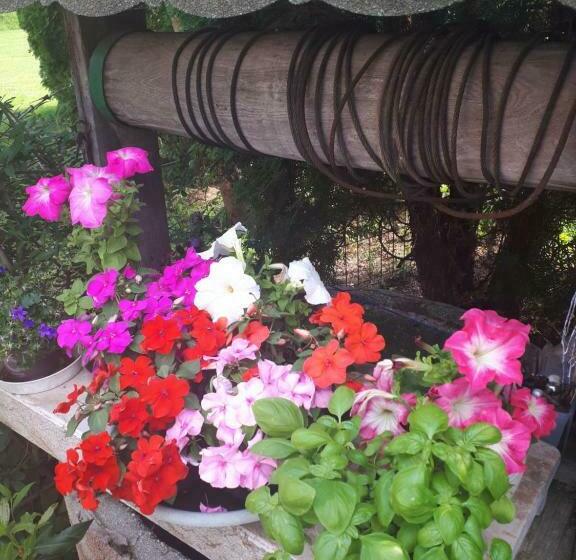 住宿加早餐 Borkúti Panzió és Apartman