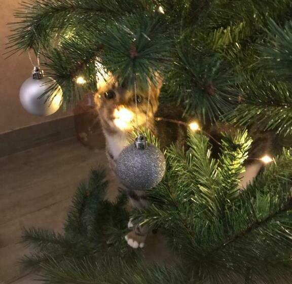 Bed and Breakfast Chambre D  Hôtes Chez Manon Et Hugo